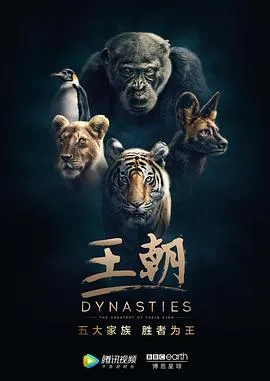 优步危机
